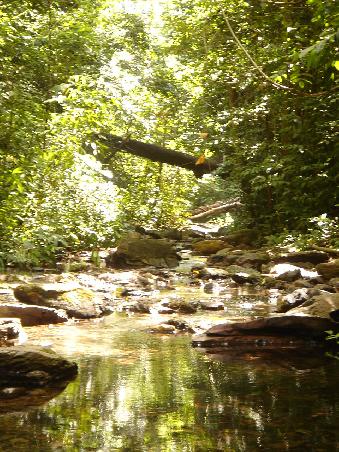 der Weg zum Waterfull