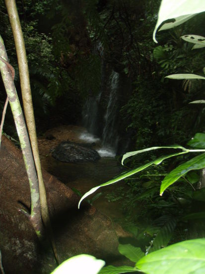 Wasserfall von oben. Unter lebensgefaehrlichen Bedingungen aufgenommen.