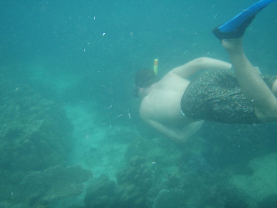 Wie kommt denn der Wal hier rein?