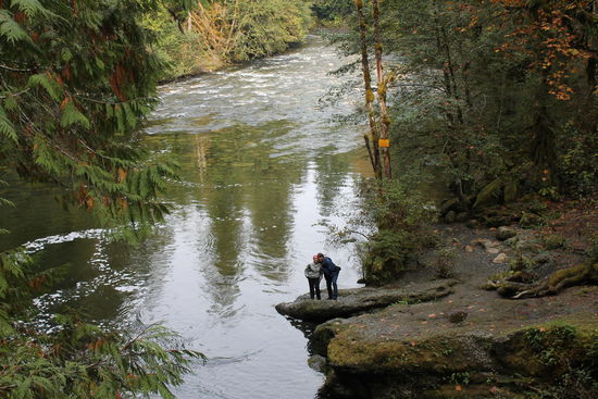 Zwischenstopp auf dem Weg nach Tofino
