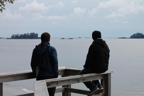 Walbeobachtung ohne Erfolg