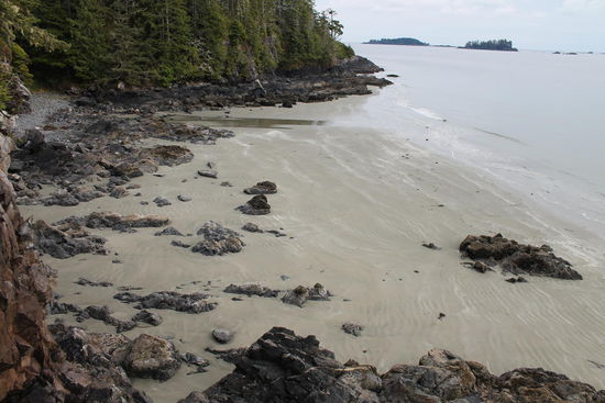 Bucht bei Tofino