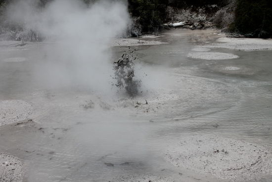 Schlammpool im Waikite Valley 