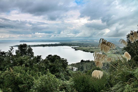 Lake Taupo