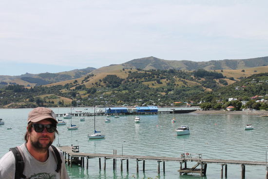 Im Hafen von Akaroa