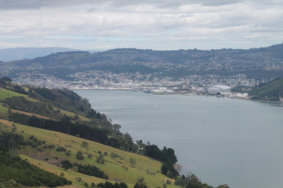 Dunedin von oben