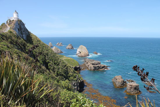 Nugget Point