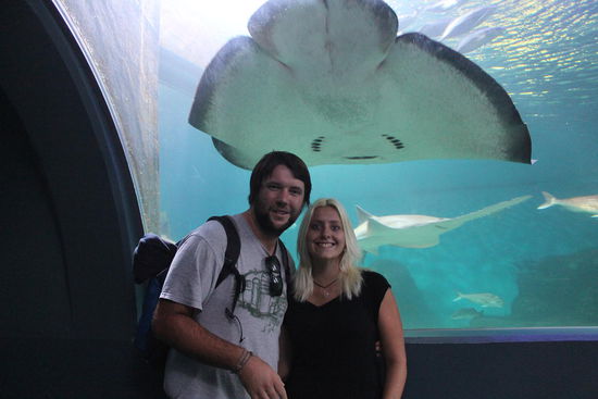 Im Sealife Melbourne 