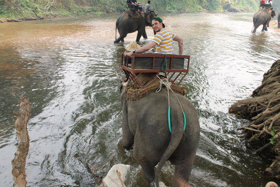 Hannes auf dem Elefant...