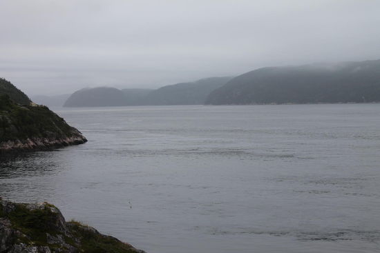 Blick auf den Fjord bei Tadoussac