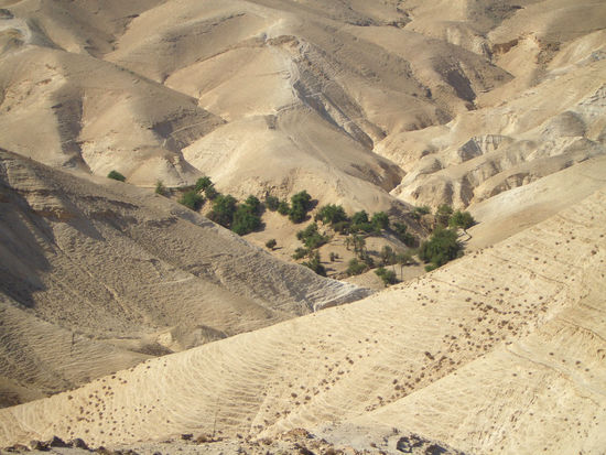 Wadi in der Judäischen Wüste zwischen Jericho und Jerusalem