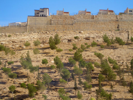 Israelische Siedlung in der Westbank