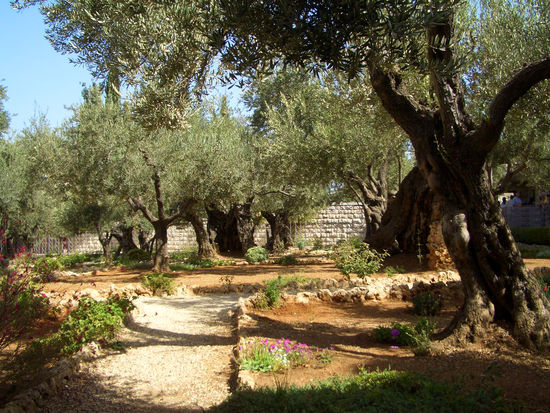 Garten Gethsemane