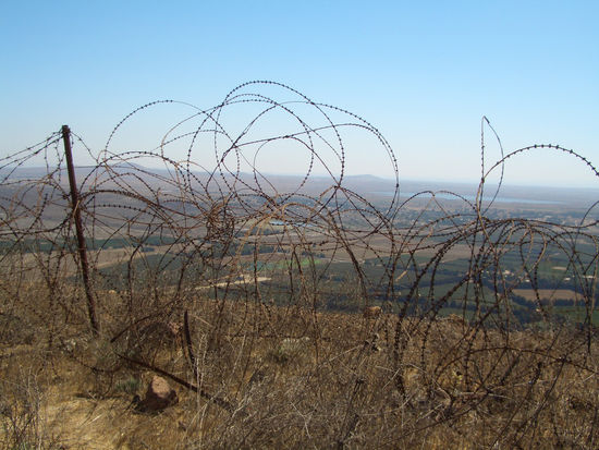 Stacheldrahtverhaue überziehen den ganzen Berg