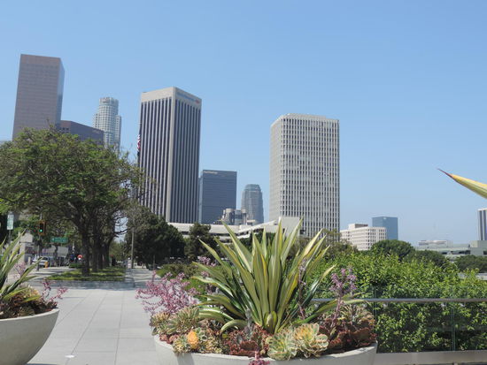 Stadtrundfahrt mit Aussteigen: Durch Downtown...