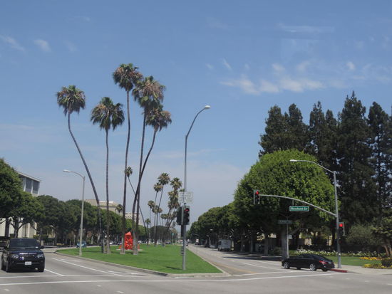 Die Reichen der Reichen wohnen in Beverly Hills...