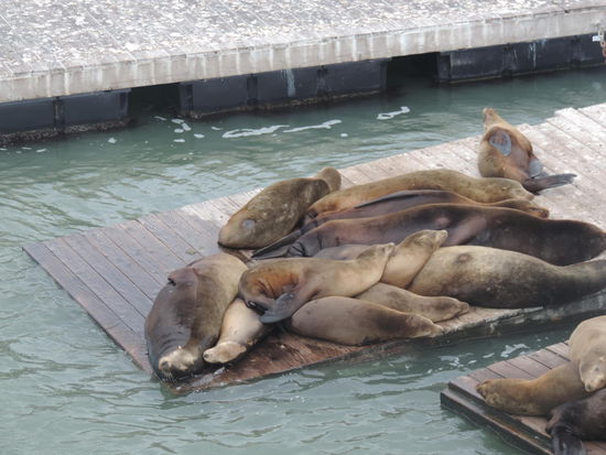 Wie kann man so faul sein 