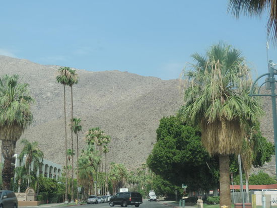 So in etwa sieht es in Palm Springs überall aus...