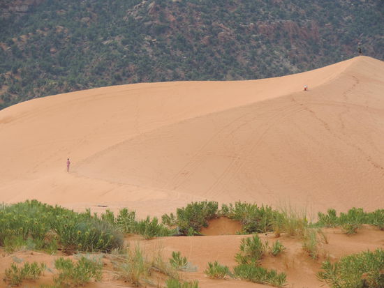 Coral Pink Sand Dunes State Parc