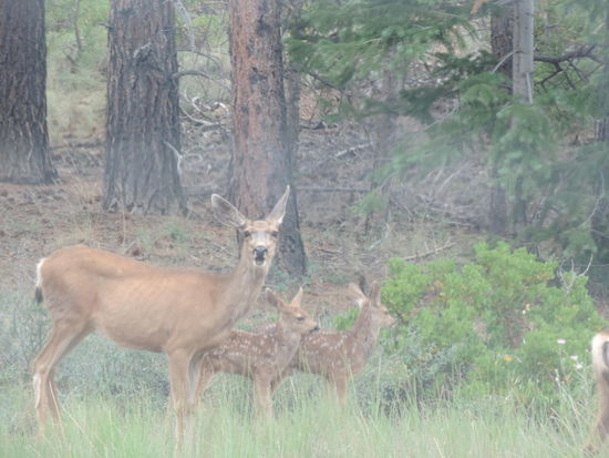 Was guksch du? Bin isch Kino oder was?! 
