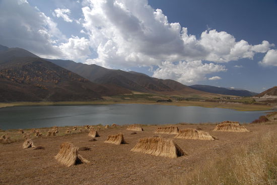 Landwirtschaft in der Hochebene