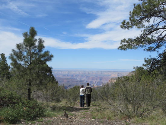 Grand Canyon (Nordseite)