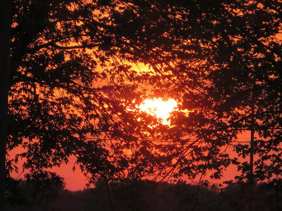 Irgendwo Richtung Ostküste