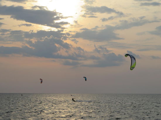 Bindi's verdiente Ferien