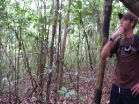 Total verziterter und verirrter Jungletrip