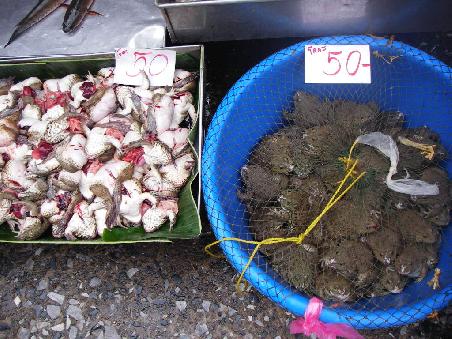 1.80 das Kilo