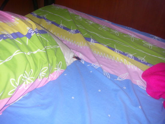 die invasion beginnt