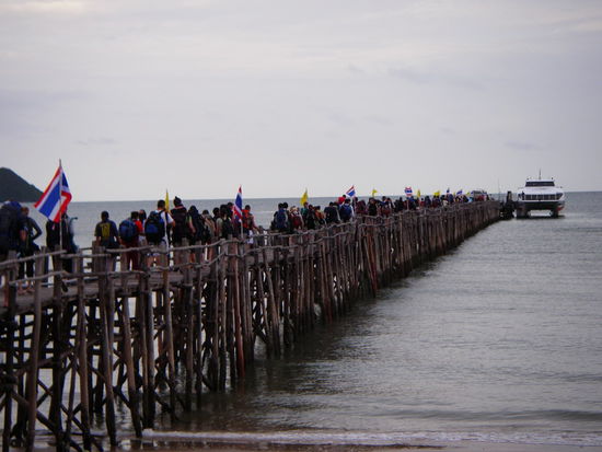 pilgermassen nach koh tao