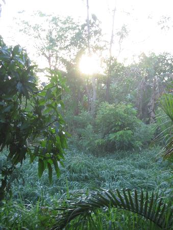 Morgenstimmung im Mekong-Delta