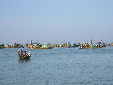 Fischerboote in Mui Ne (man beachte das kleine runde Korbboot vorne links - eine vietnamesische Besonderheit)