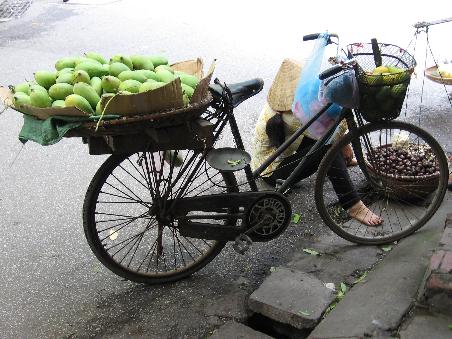 Mango-shop