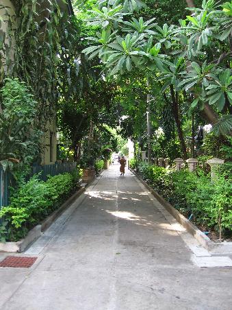 Die gruene Oase im Herzen von Bangkok