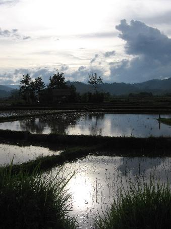 Abendstimmung in Luang Namtha