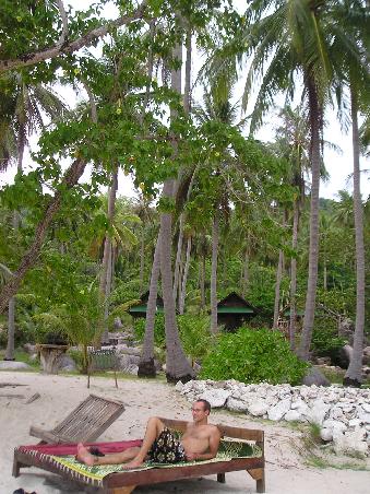 Ein Bett am Palmenstrand