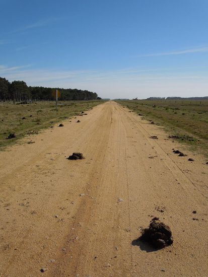 "Strasse mit viel Glück"