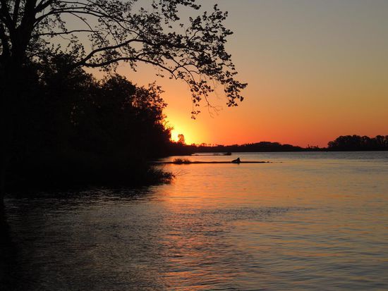 Abendstimmung am Rio Negro