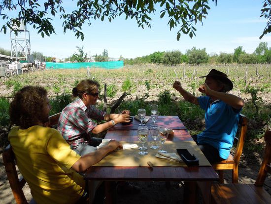 Mittags zwischen den Reben