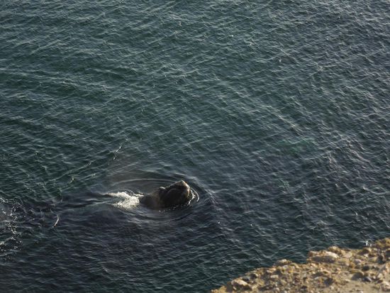 Walkind beim Auftauchen