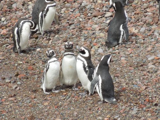 und hier wird zusammen geträllert 