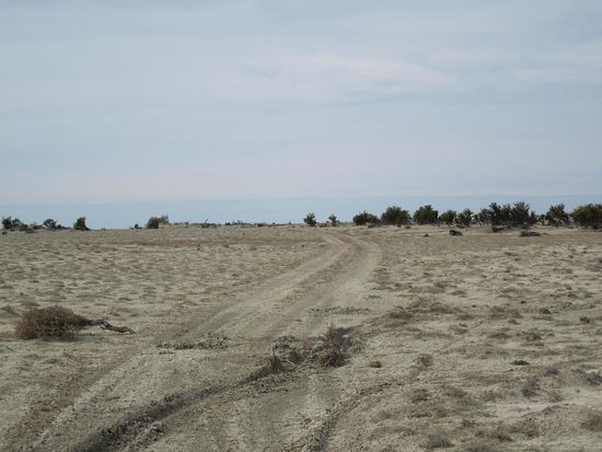 Unterwegs im ausgetrockneten Flussbett