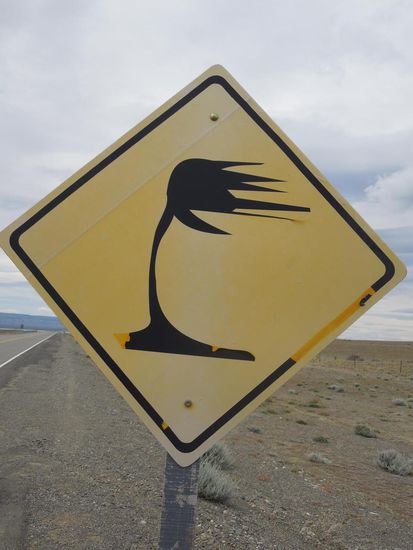 Alles Böe oder was?