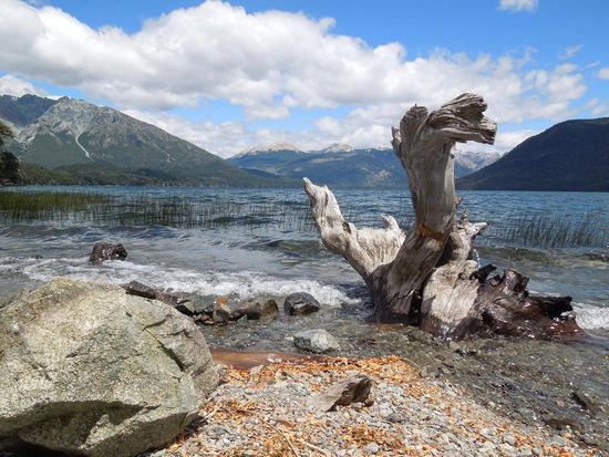 Am Ufer des Lago Mascardi