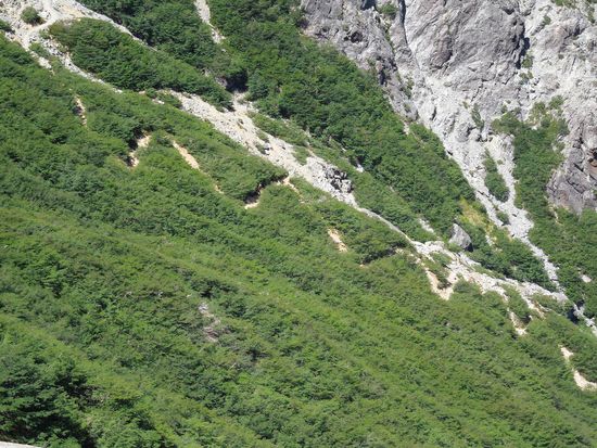 "Serpentinischer Anstieg"