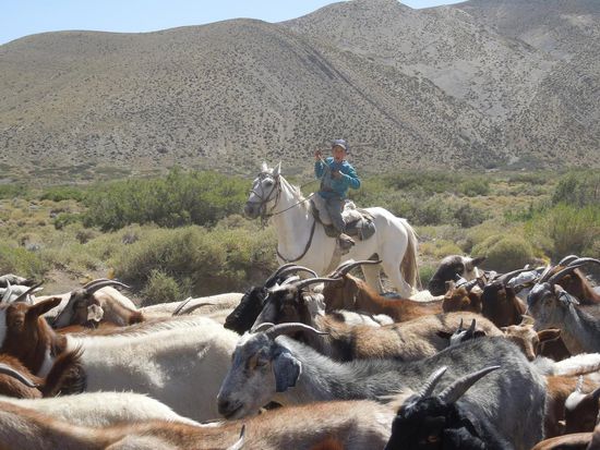 Voll in seinem Element 