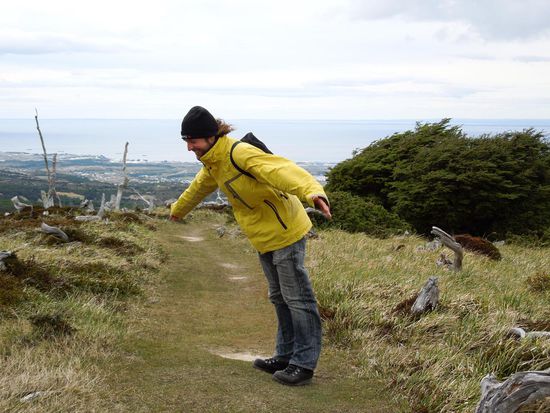Nur Fliegen ist schöner ...