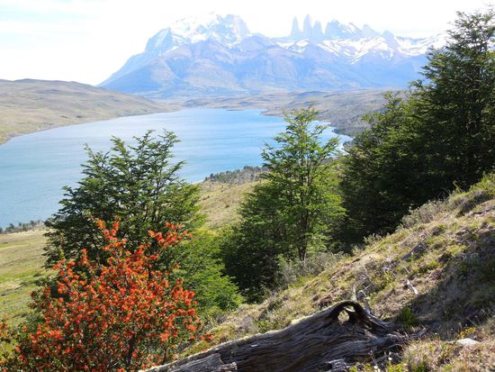 Wunderschöne Kulisse